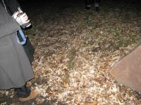 Chicago Ghost Hunters Group investigates Robinson Woods (88).JPG